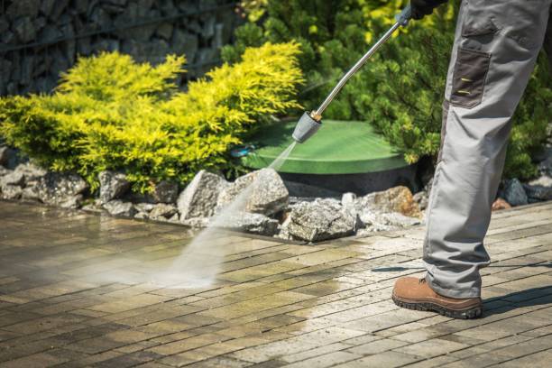 Best Gutter Cleaning and Brightening in Panhandle, TX