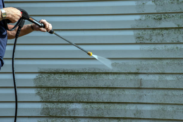 Best Deck and Patio Pressure Washing in Panhandle, TX